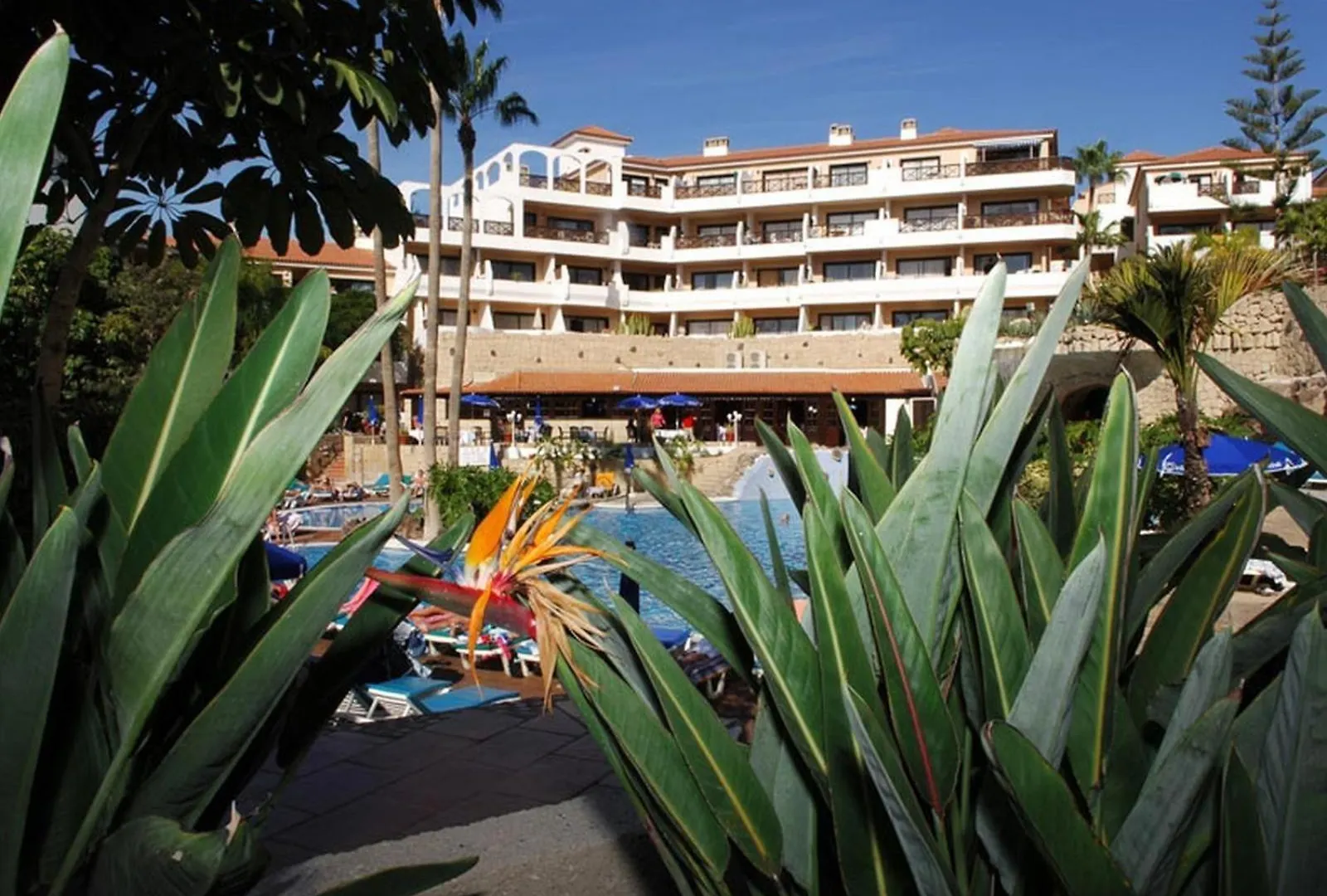 Great Apartment In Golf Del Sur سان ميغيل ذي أبونا إسبانيا